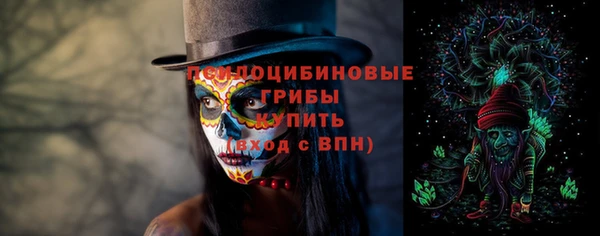 стафф Алзамай